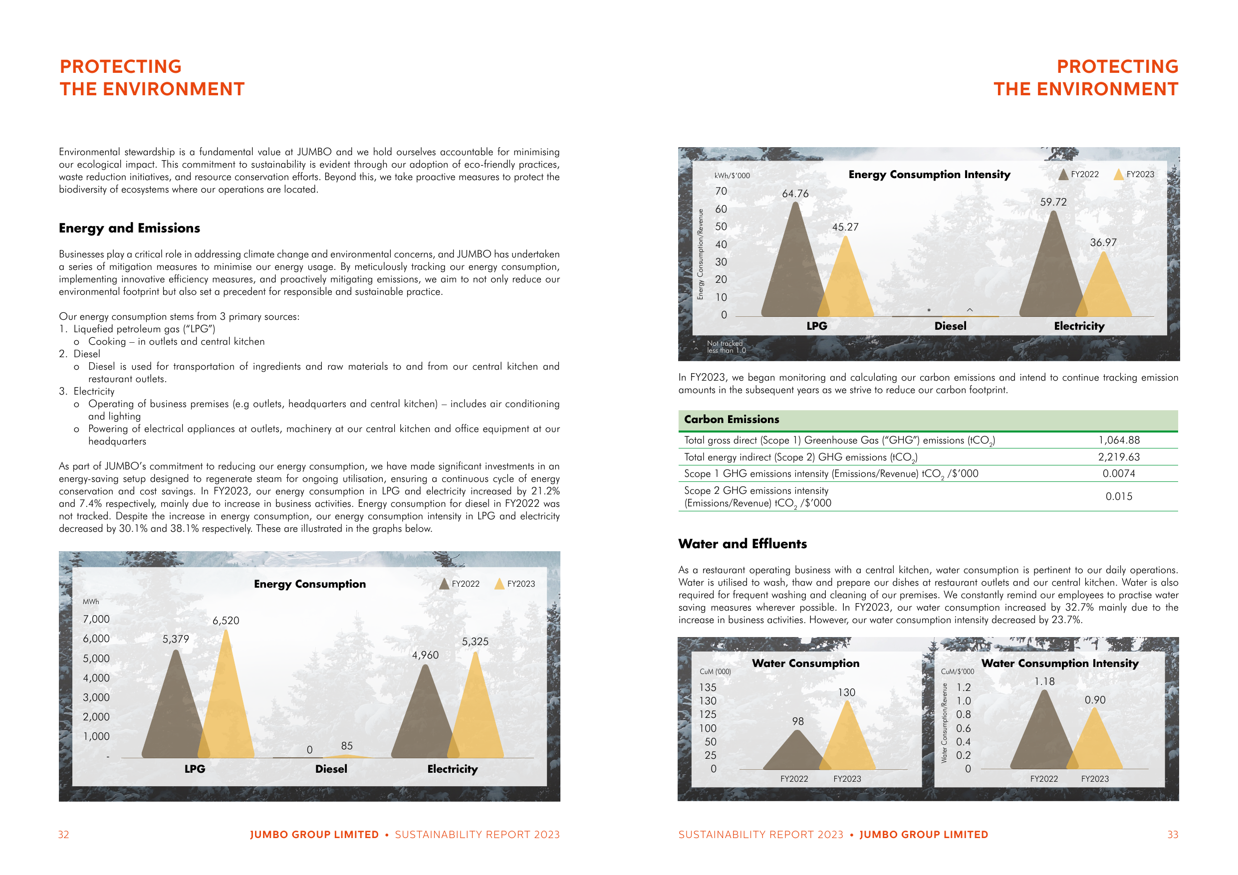 Emissions data extracted from page 17