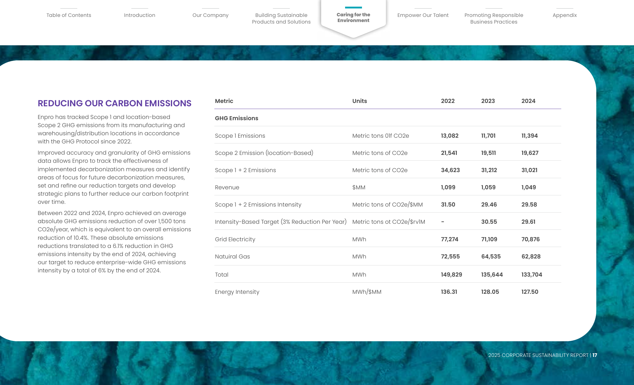 Emissions data extracted from page 17