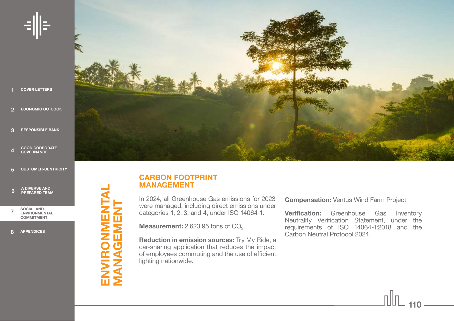 Emissions data extracted from page 110