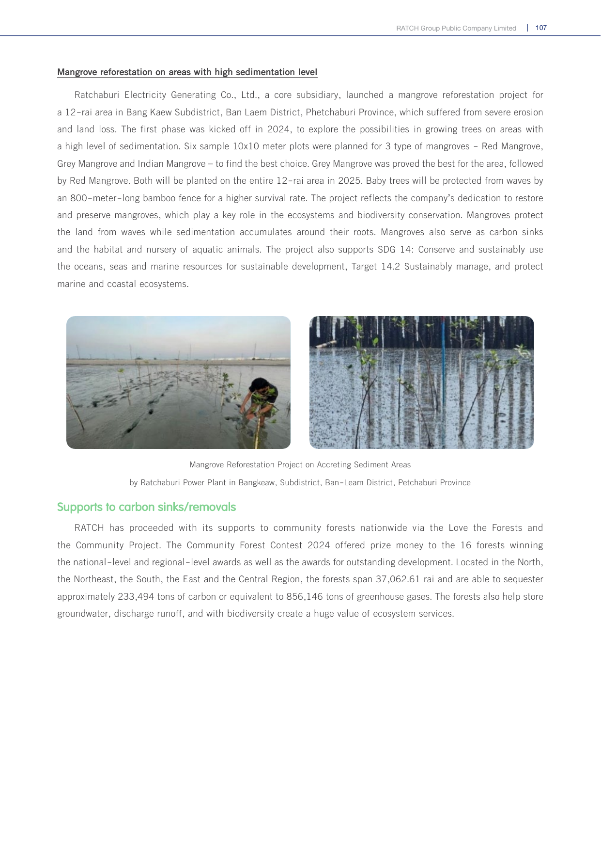 Emissions data extracted from page 107