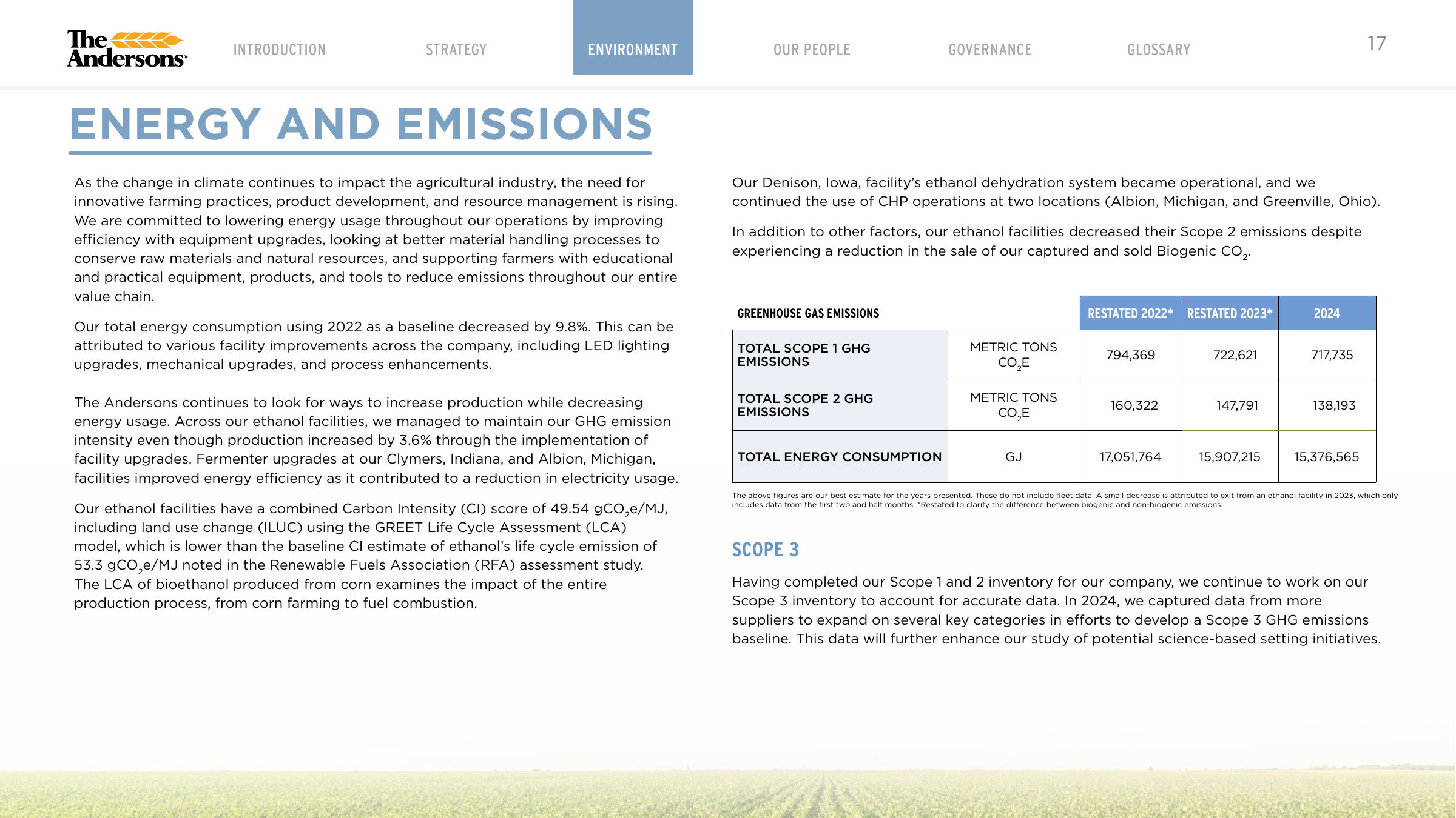 Emissions data extracted from page 17