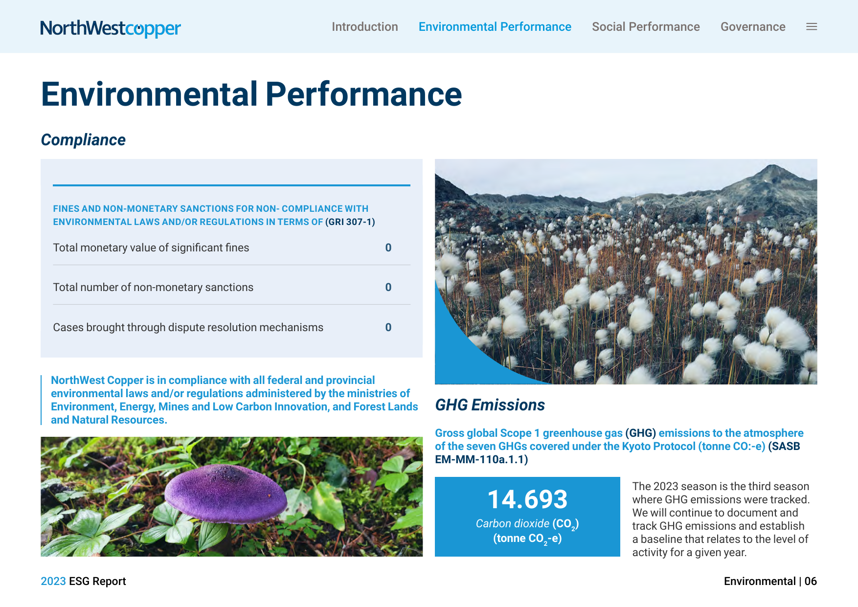Emissions data extracted from page 9
